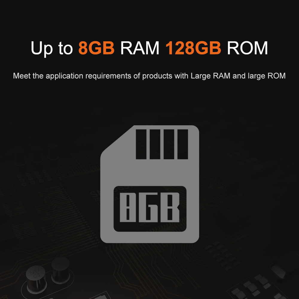 라이온트론 RK3566 DDR4 8GB RAM AW-Y - Open Vending Machine 리뷰 및 가격